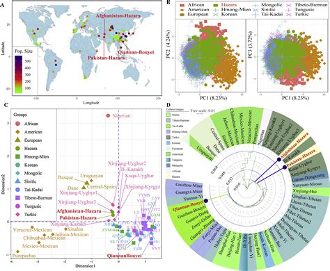 hazara dna|A comprehensive exploration of the genetic legacy and forensic .